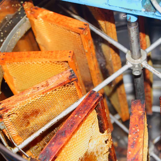 Bio Honig kalt schleudern