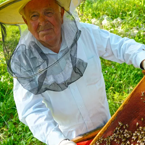 Henry Imker Bio Honig